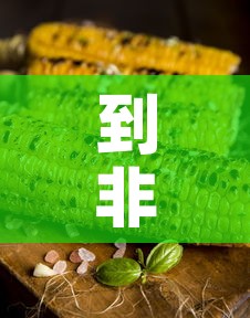 到非洲用粮食换黄金价格 → 非洲买黄金