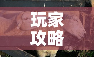 玩家攻略“微信牛牛群斗牛群”轻松获取房卡全渠道