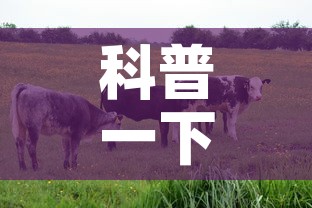 科普一下“微信牛牛群房卡怎么弄”房卡使用教程