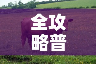 全攻略普及“微信牛牛群房间卡如何购买”详细房卡教程