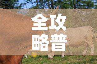 全攻略普及“微信牛牛群房间卡如何购买”详细房卡教程