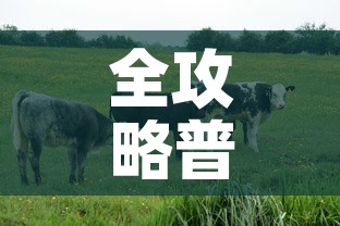 全攻略普及“微信牛牛群房间卡如何购买”详细房卡教程