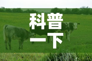 科普一下“微信牛牛群房卡哪里买	”房卡链接获取