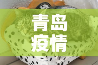 青岛疫情最新动态：青岛疫情最新情况 新闻