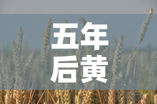 五年后黄金价还是大葱价›5年后黄金预计最少多少一克