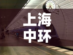 上海中环一号疫情 → 上海中环1号