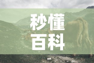 秒懂百科“微信牛牛群斗牛群”详细房卡怎么购买教程