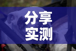 分享实测“微信牛牛群斗牛群	”详细房卡怎么购买教程