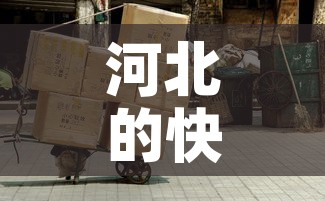 河北的快递现在还能收吗：河北的快递现在还能收到吗