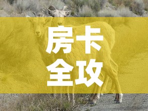 房卡全攻略“微信牛牛群斗牛群”详细房卡教程