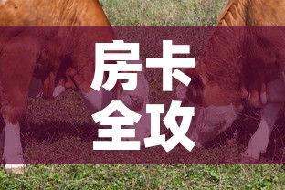 房卡全攻略“微信牛牛群斗牛群	”详细房卡教程