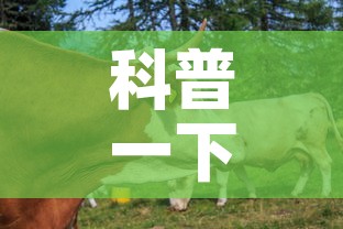 科普一下“微信牛牛群房卡怎么弄	”链接房卡在哪里获取