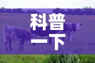 科普一下“微信牛牛群房卡怎么弄”链接房卡在哪里获取