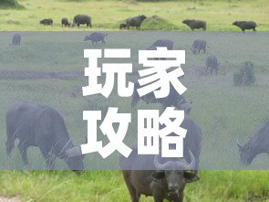 玩家攻略“微信牛牛群斗牛群	”房卡获取方式