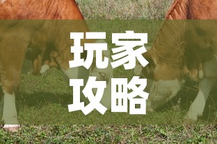 玩家攻略“微信牛牛群斗牛群”房卡获取方式