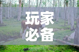 玩家必备教程“微信牛牛群斗牛群	”链接房卡在哪里获取
