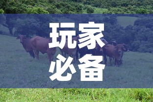 玩家必备教程“微信牛牛群斗牛群	”链接房卡在哪里获取