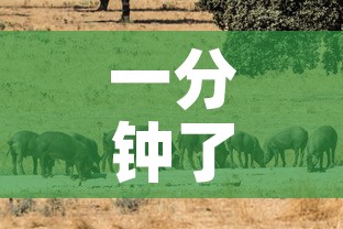 一分钟了解“斗牛房卡牛牛房卡	”详细房卡教程