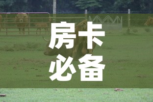 房卡必备教程“微信牛牛群斗牛群”详细房卡怎么购买教程