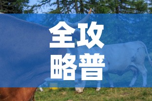 全攻略普及“开牛牛群怎么买房卡”房卡链接获取