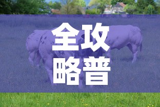 全攻略普及“开牛牛群怎么买房卡”房卡链接获取