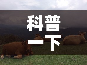 科普一下“微信斗牛牛链接”房卡使用教程