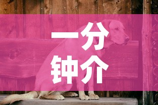 一分钟介绍使用“微信斗牛房卡找谁买”房卡使用教程
