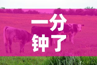 一分钟了解“微信牛牛群房卡怎么弄”链接房卡在哪里获取
