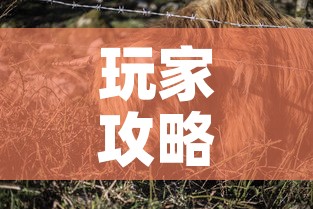 玩家攻略“微信牛牛群斗牛群”房卡详细充值