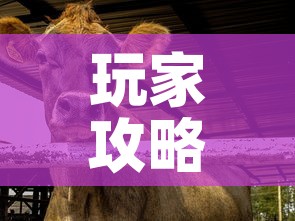 玩家攻略“微信牛牛群斗牛群”房卡详细充值