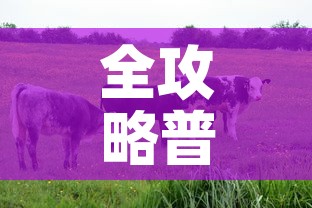 全攻略普及“开牛牛群怎么买房卡	”详细房卡使用教程