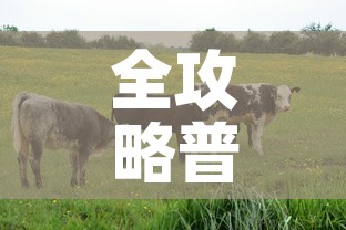 全攻略普及“微信牛牛群房卡”房卡获取方式