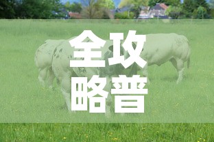全攻略普及“微信牛牛群房卡	”房卡获取方式