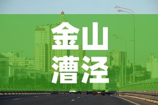金山漕泾疫情最新信息：上海金山区漕泾镇地图