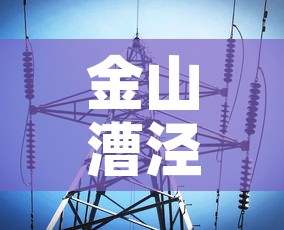 金山漕泾疫情最新信息：上海金山区漕泾镇地图
