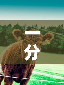一分钟实测分享“微信牛牛群斗牛群”链接房卡在哪里获取