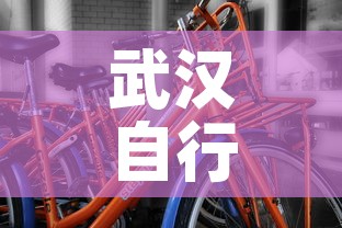武汉自行车租金价格表—（武汉自行车租金价格表大全）