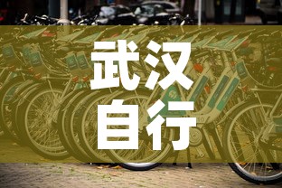 武汉自行车租金价格表—（武汉自行车租金价格表大全）