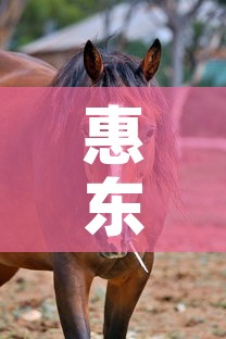 惠东大岭疫情最新动态 → 惠东大岭镇最新规划图