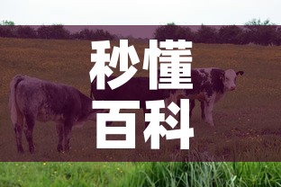 秒懂百科“微信牛牛群房卡怎么弄”房卡使用教程