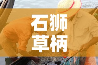 石狮草柄村最新疫情：石狮草莓采摘基地