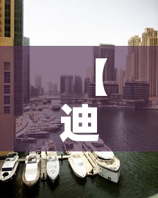 【迪拜的黄金街的黄金价格,迪拜黄金街值得买吗】