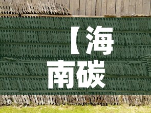 【海南碳化钨合金价格行情,海南碳化钨合金价格行情表】