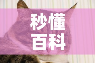 秒懂百科“斗牛房卡牛牛房卡”详细房卡怎么购买教程