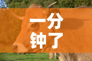 一分钟了解“微信斗牛房卡如何购买	”购买房卡介绍
