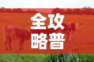 全攻略普及“微信牛牛群房卡”房卡详细充值