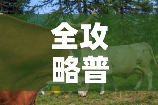 全攻略普及“微信牛牛群房卡”房卡详细充值