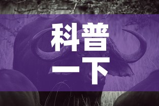 科普一下“微信牛牛群斗牛群”房卡详细充值