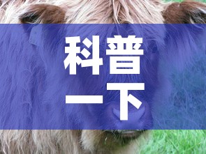 科普一下“微信牛牛群斗牛群	”房卡详细充值